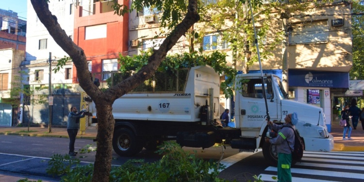 CUENTA REGRESIVA. Por ahora solo hay podas del municipio, de despeje, en distintos puntos de Posadas.