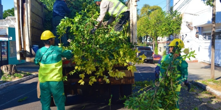 LLAMATIVO. Restos de podas anticipados aparecieron en varios barrios.