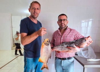 Se cosecharon cinco toneladas de pescado en Misiones para abastecer Semana Santa