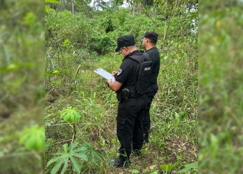 Hallan restos óseos humanos en una zona de malezas en Puerto Esperanza
