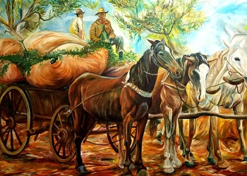 El legado de Wilfrido Tantera une a Misiones y Santa Fe en un proyecto cultural