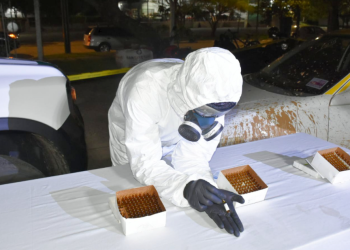 Taxista posadeño cayó con 300 ampollas de fentanilo en el límite de Corrientes con Misiones