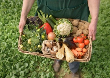 Los Combos Universitarios suman nuevas sedes y amplían la llegada de productos misioneros