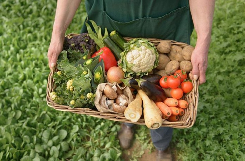 Los Combos Universitarios suman nuevas sedes y amplían la llegada de productos misioneros