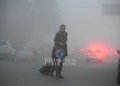 Advierten por densos bancos de niebla en Misiones y recomiendan extremar precauciones al conducir