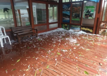 Fuerte tormenta con granizo y ráfagas provocó destrozos en el Parque Moconá