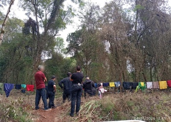 Garuhapé: investigan una presunta usurpación de tierras en Colonia San Miguel