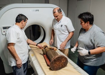 Anatomía del arte: tecnología para conservar la historia