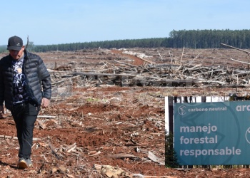 “El progreso de Arauco es una herida abierta en la tierra roja”