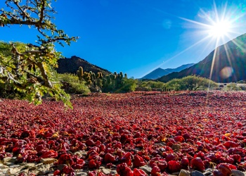 Argentina definió sus ocho candidatos para el Best Tourism Villages 2026