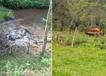 Hallan un vacuno muerto en un arroyo de Campo Ramón