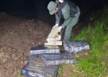 Incautaron más de 131 kilos de marihuana abandonados a la vera del río Paraná en Puerto Esperanza