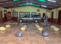 Hallaron casi 190 kilos de marihuana ocultos entre la vegetación en Colonia Victoria