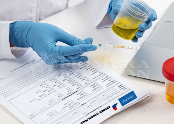 Ya rige el examen toxicológico para funcionarios públicos: qué pasa en caso de ser positivo