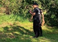 Guaraní: una mujer sufrió graves lesiones tras despistar con su bicicleta en una zona verde