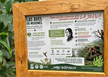 Montecarlo ingresó al mapa internacional de avistaje de aves