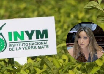 “La desregulación destruyó al sector yerbatero”: fuerte presión en el Congreso para devolverle facultades al INYM