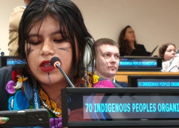La lideresa misionera Keila Zaya volvió a su comunidad tras llevar la voz mbya al mundo