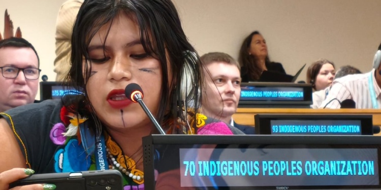 Keila Zaya llevó los reclamos mbya guaraní ante la ONU / Fotos Prensa EMiPA