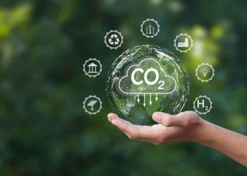 Misiones llevó al Senado el modelo de mercado de carbono