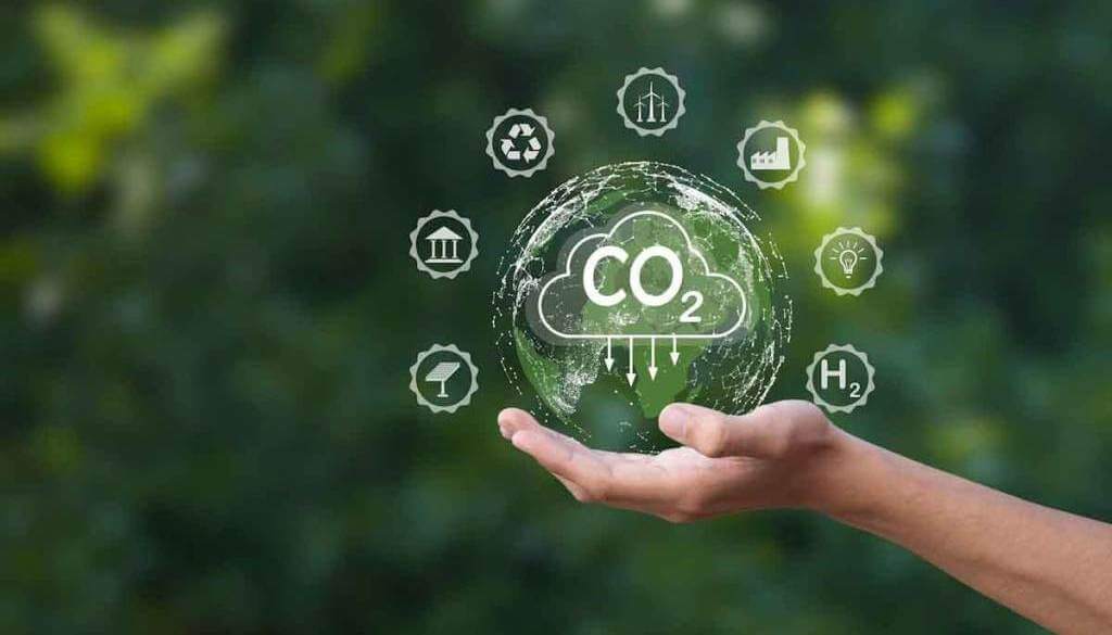 Misiones llevó al Senado el modelo de mercado de carbono