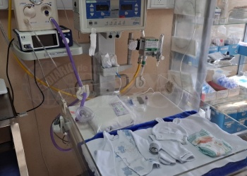 Partos, cesáreas y neonatología: la inversión detrás de cada nacimiento