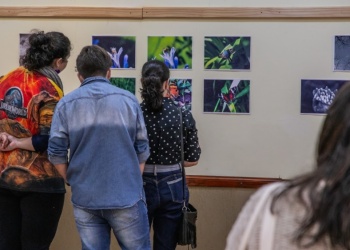 El arte y la mirada joven “toman” la Casa del Bicentenario de Oberá