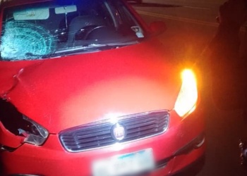 Murió una adolescente tras ser atropellada sobre la ruta 12