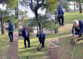 “Es increíble dar vida y ayudar a que la naturaleza crezca”