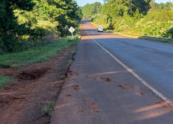 Proyectan intervención de la ruta 14 entre Alem y Campo Viera