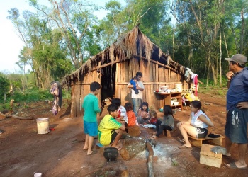 Comunidad Yvy Porã Marangatu denunció tala del monte donde viven