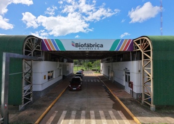 Biofábrica Misiones logró su primer balance positivo