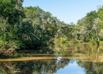Daño ambiental: multan a responsables de construir un dique ilegal sobre el arroyo Caraguatay