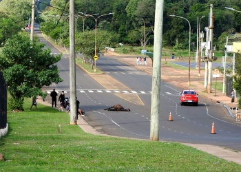 Caballos sueltos: piden que el Concejo avance con medidas para evitar accidentes