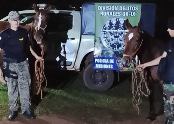 Recuperan dos caballos robados en San Ignacio
