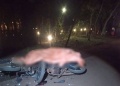 Un muerto y cuatro heridos en choque frontal entre motos