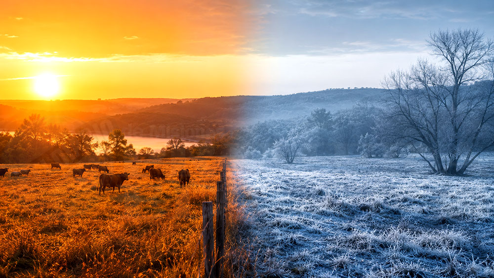 Récord de calor y frío histórico: el clima extremo golpea a Misiones