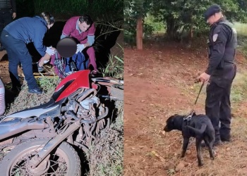 Intentaron evadir un control, chocaron al can policial “Topo” y despistaron