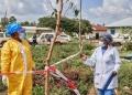 El ébola se expande en África y diez países quedaron bajo vigilancia por riesgo de contagio