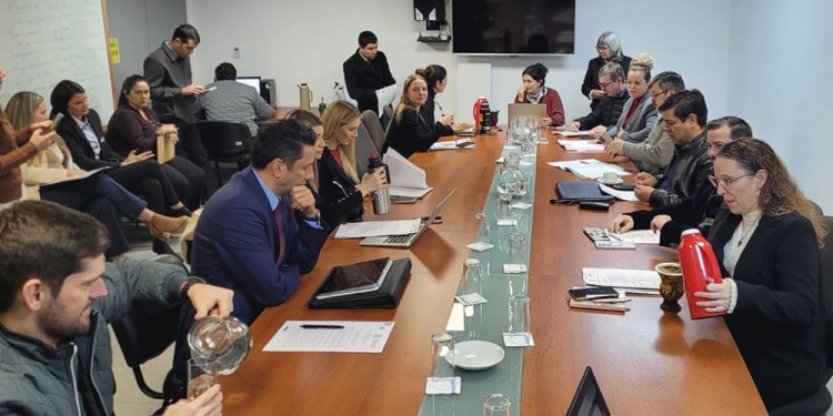 ASUNTOS CONSTITUCIONALES. Los legisladores de la comisión y sus asesores ayer durante la reunión en Cámara.