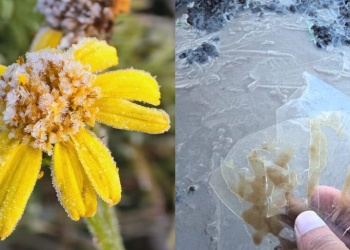 El sur de Brasil se tiñó de blanco con heladas y temperaturas de hasta – 5,6°C