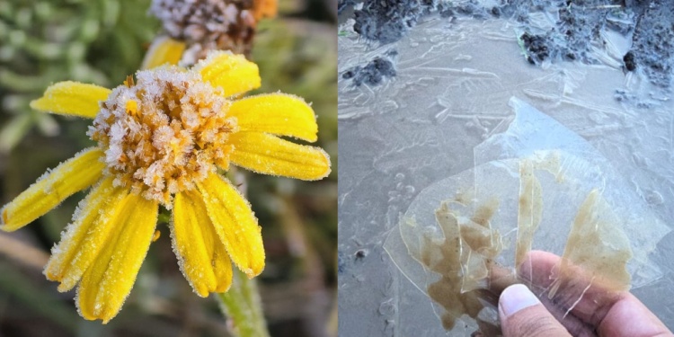 En Sao Joaquim, en Santa Catarina, las temperaturas llegaron a -5,6°C. (Foto Sao Joaquim Online).