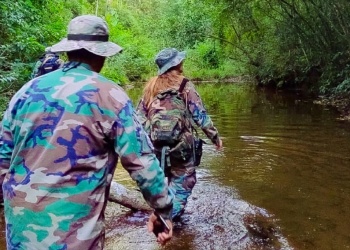 Guardaparques: buscan jefe de parque en Moconá, Urugua-í y Salto Encantado