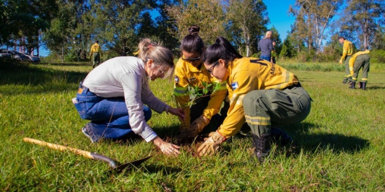 OBJETIVO. Recuperar la cobertura vegetal y generar una barrera natural./Foto: Gentileza MEyRNR