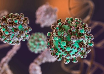 Hantavirus: el virus silencioso que sigue circulando en Argentina