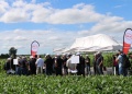 Agro: Helm liquida stock y abandona el mercado argentino