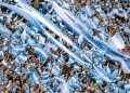 Mundial 2026: Argentina compartirá con Estados Unidos la lista negra de los barras violentos