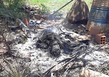 “Roger” admitió que mató a golpes y quemó a su amigo entre las brasas