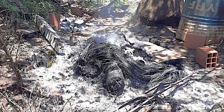 MARTES 8 DE DICIEMBRE DE 2020. Los restos del fuego que calcinaron a “Monchi”.