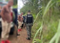 Investigan si un yaguareté atacó a un animal en una zona rural de Misiones